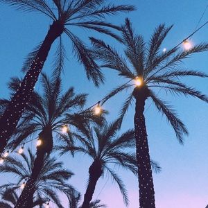 Meet your Posher, Darcie